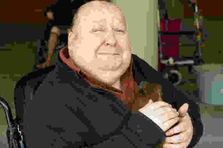 Knuffeldieren