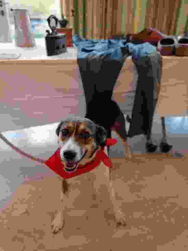 IMG 20191119 140514