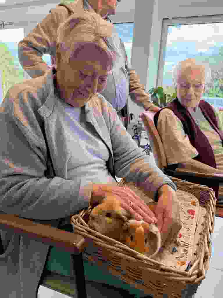 IMG 0350
