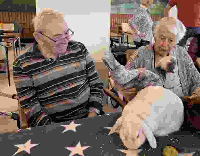 IMG 0371