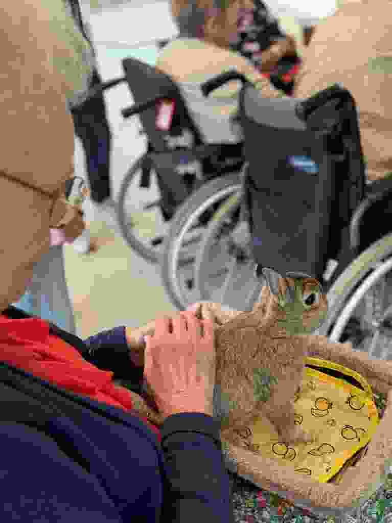 IMG 0403