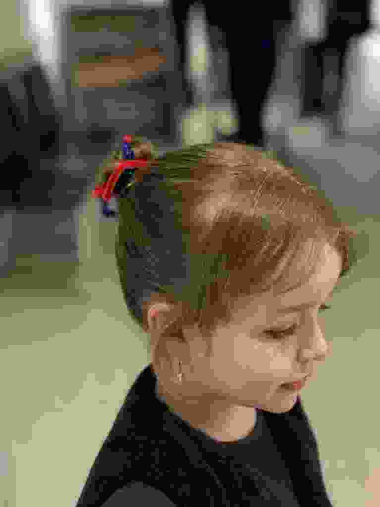 IMG 1676