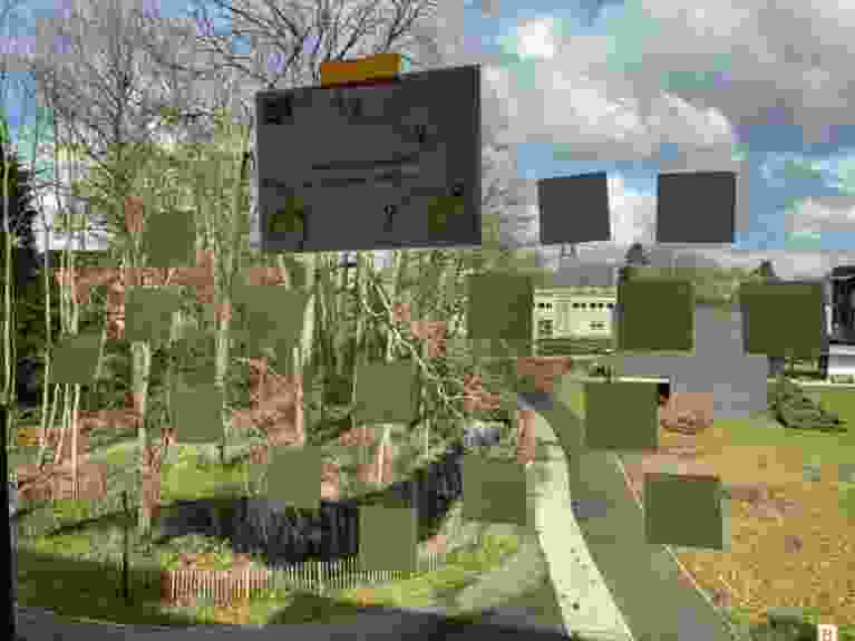 IMG 7675