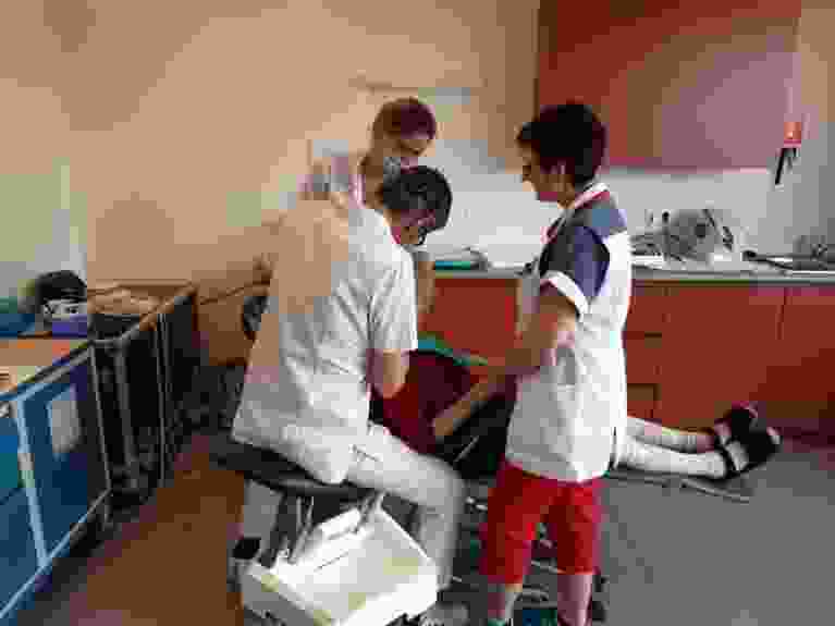 Gerodent