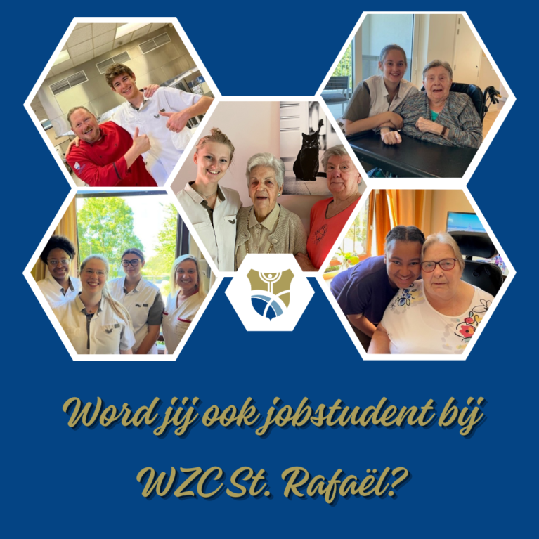 Jobstudent WZC