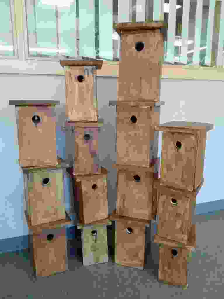 Vogelnest kasten schilderen