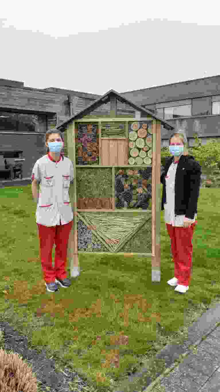 insectenhotel maken