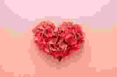 Bloemen voor valentijn 1580993352 1580993466 s
